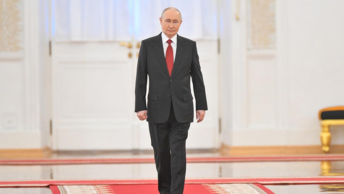 vladimir putin