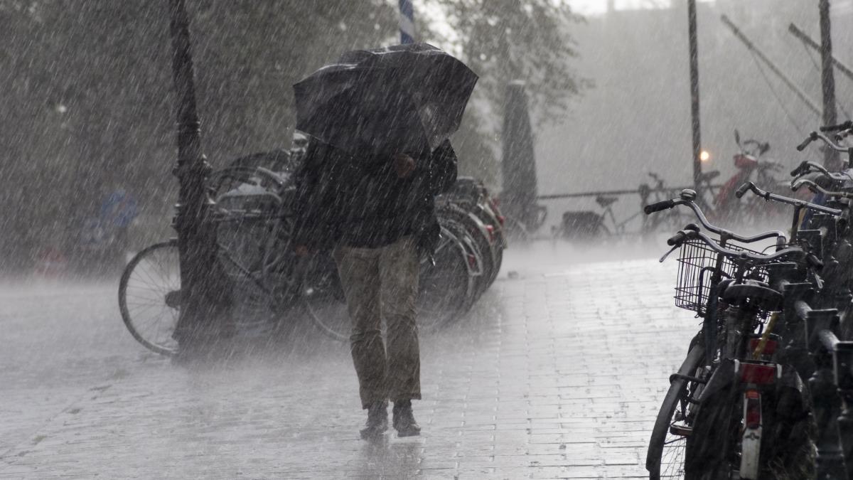se intorc ploile si vijeliile de saptamana viitoare prognoza meteo actualizata pentru urmatoarele patru saptamani