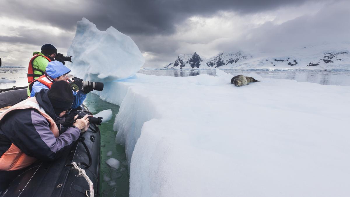 boomul turistic din antarctica e o amenintare pentru ecosistem poti lasa o urma de pas si e acolo si peste 50 de ani