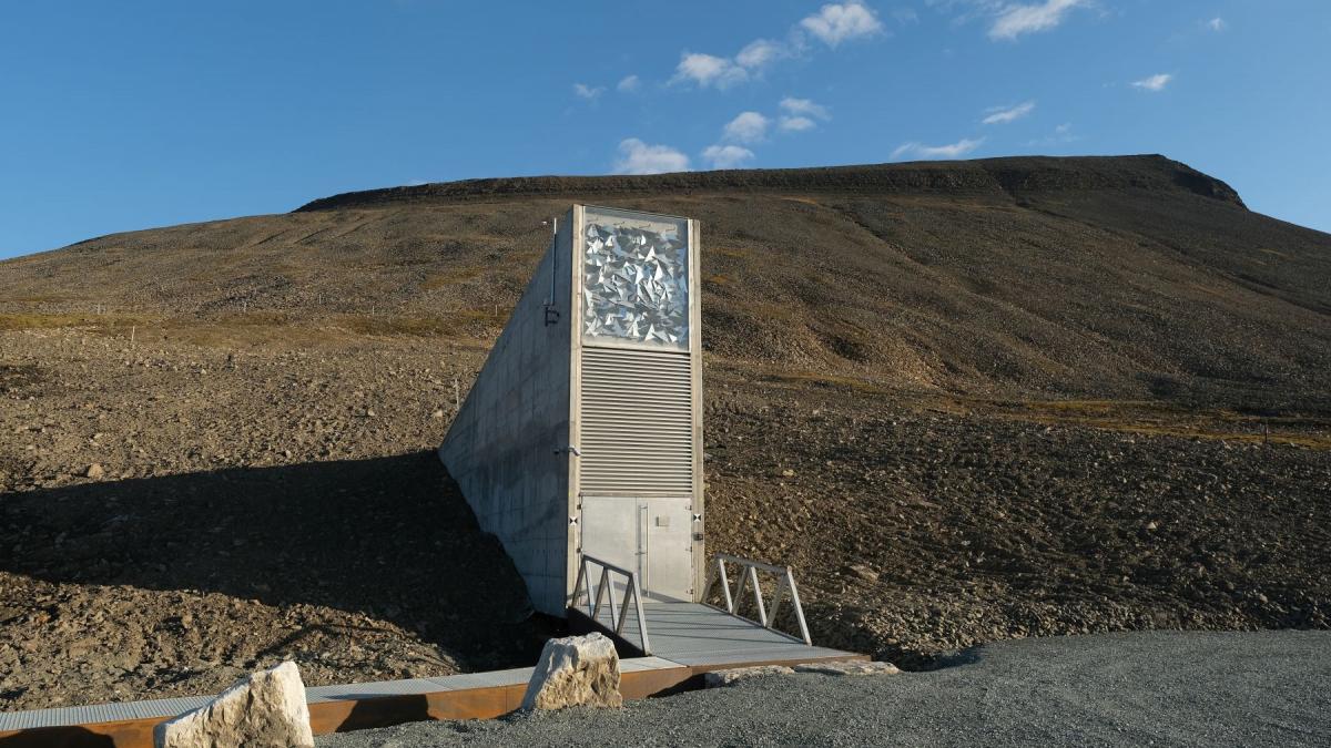 depozitul global de seminte svalbard