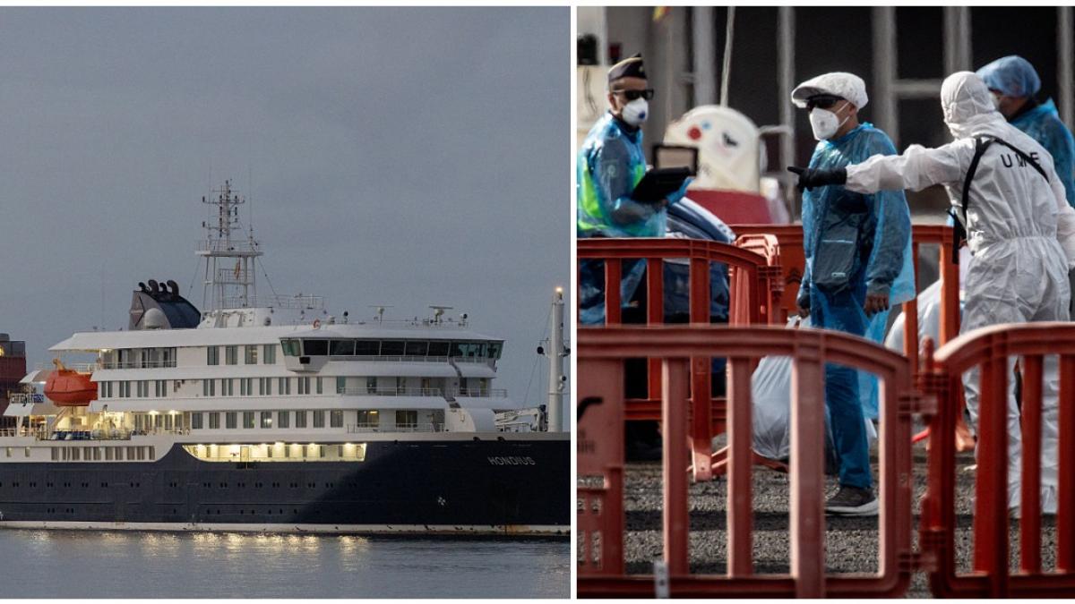 o frantuzoaica si un american au fost testati pozitiv la hantavirus un alt pasager de pe nava mv hondius are simptomele virusului