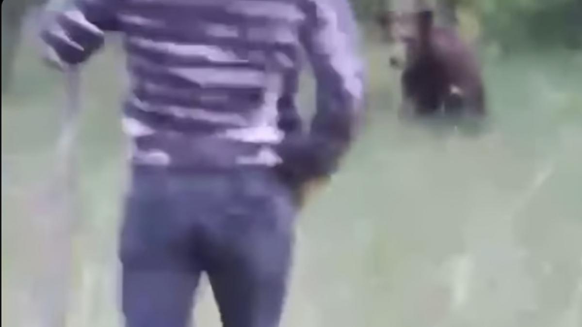 imagini halucinante din valcea un barbat a fugarit cu o lopata un urs uite l da i in cap
