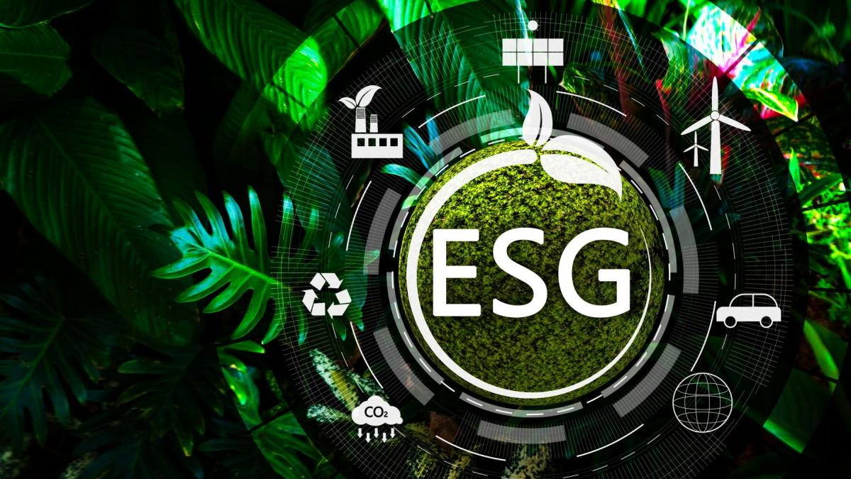 esg nu mai este optional companiile care nu se adapteaza risca sa piarda competitivitatea