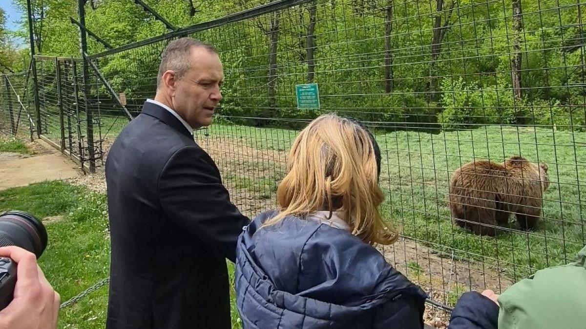 presedintele poloniei a vizitat sanctuarul de ursi de la zarnesti si l a adoptat simbolic pe batyr