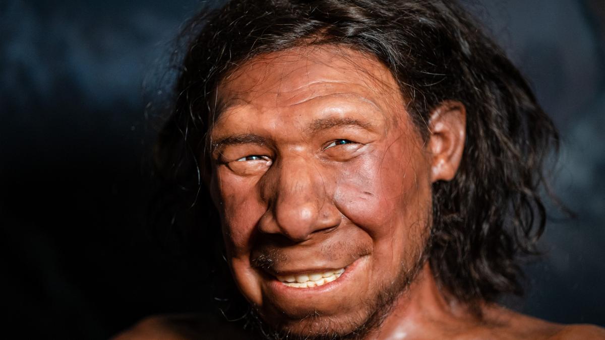 cum se tratau cariile acum 59 000 de ani descoperirea uimitoare facuta intr o pestera din siberia