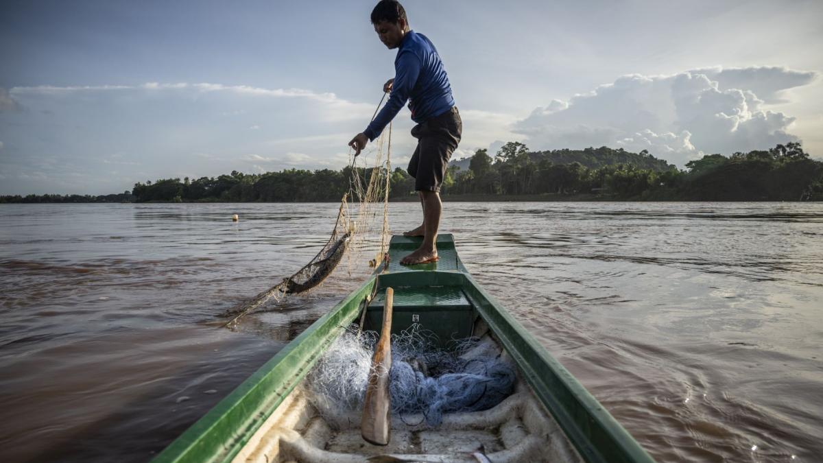 pescar care pescuieste in mekong