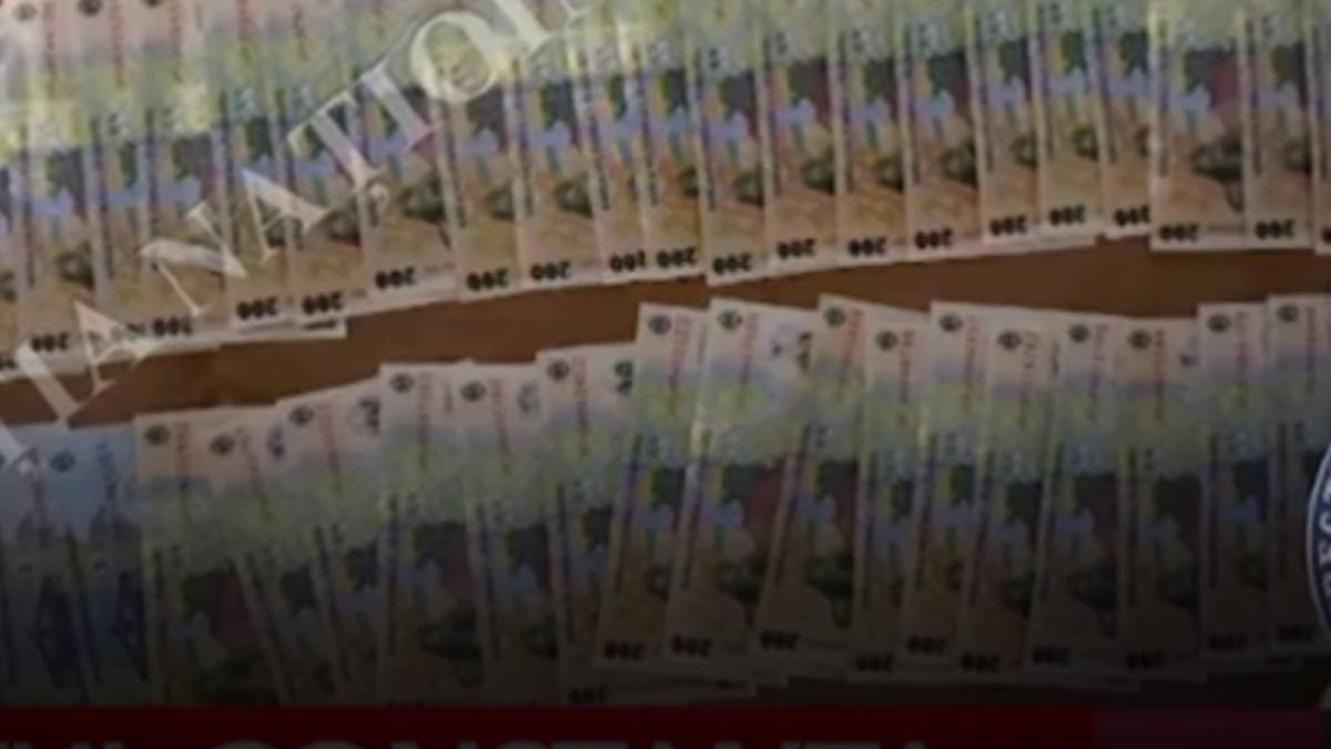 reteaua spagilor din portul constanta mita data in masinile vamesilor