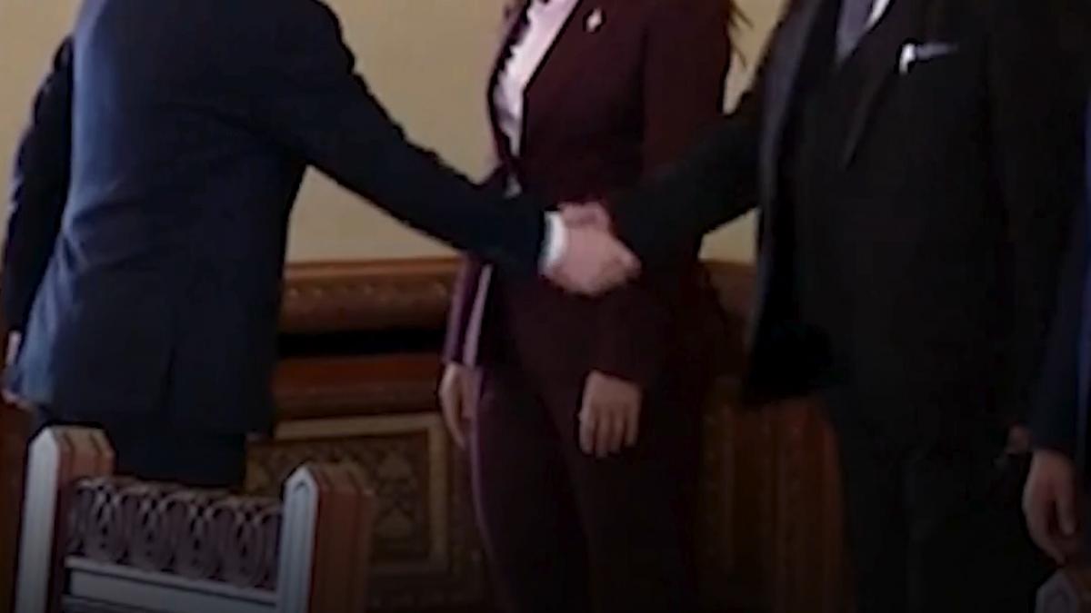 dupa sosoaca si simion a venit la cotroceni si lidera pot anamaria gavrila