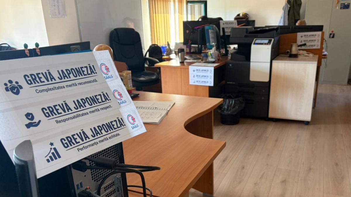 sindicalistii din guvern au intrat in greva japoneza cer demisia sau demiterea oanei gheorghiu si a lui irineu darau