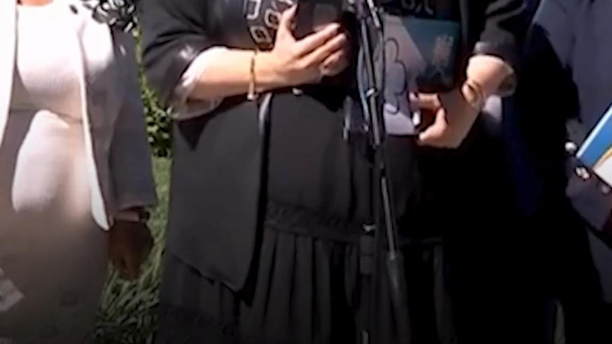 sosoaca nicusor dan a fugit din sala la consultarile cu sos