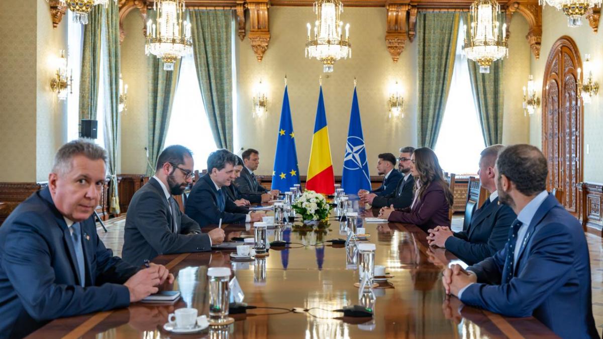 surpriza de la cotroceni anamaria gavrila spune ca pot vrea sa fie parte din majoritatea pro occidentala si l a laudat pe nicusor dan