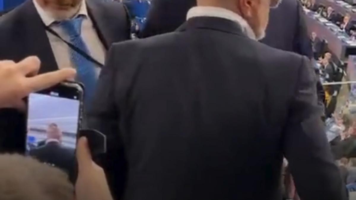 cristian rizea a fost dat afara din plenul pe pentru ca a inceput sa tipe in timpul discursului maiei sandu