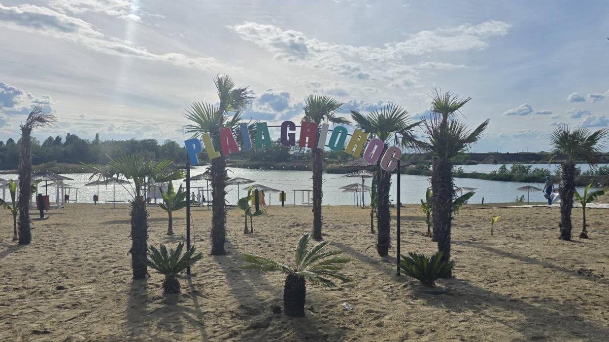 litoralul vestului cum arata plaja din arad are palmieri cluburi si petreceri cu spuma