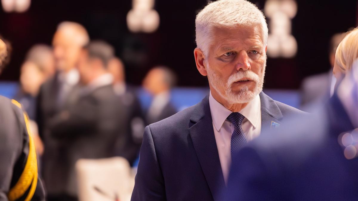 petr pavel incurajeaza nato sa isi arate coltii impotriva rusiei i am intrebat pe rusi de ce ne provoaca au zis pentru ca putem