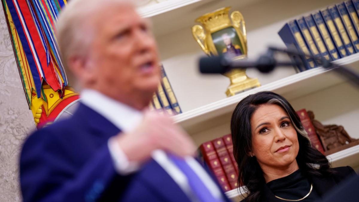 Trump Gabbard