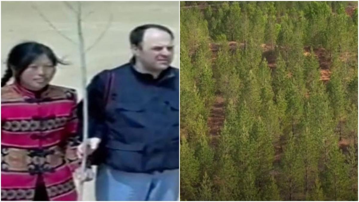 colaj cu doua persoane si o padure