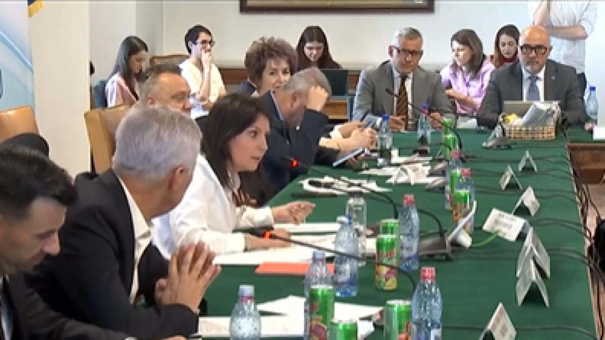 captură comisia de buget de la Senat