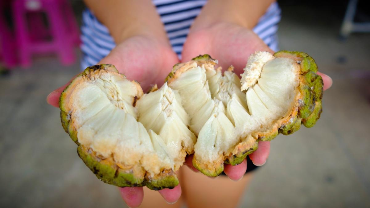fructul cu gust de crema vanilata care creste aproape fara apa a ajuns si in europa un inginer ai a devenit fermier ca sa l cultive