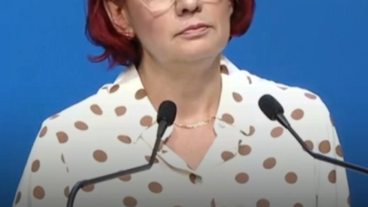 cum explica purtatorul de cuvant al guvernului prezenta premierului la nunta lui mircea abrudean