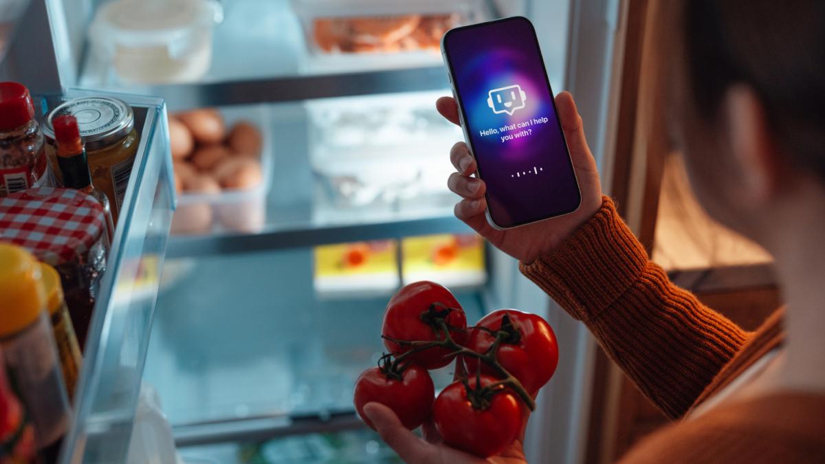 utilizator telefon chatbot inteligenta artificiala