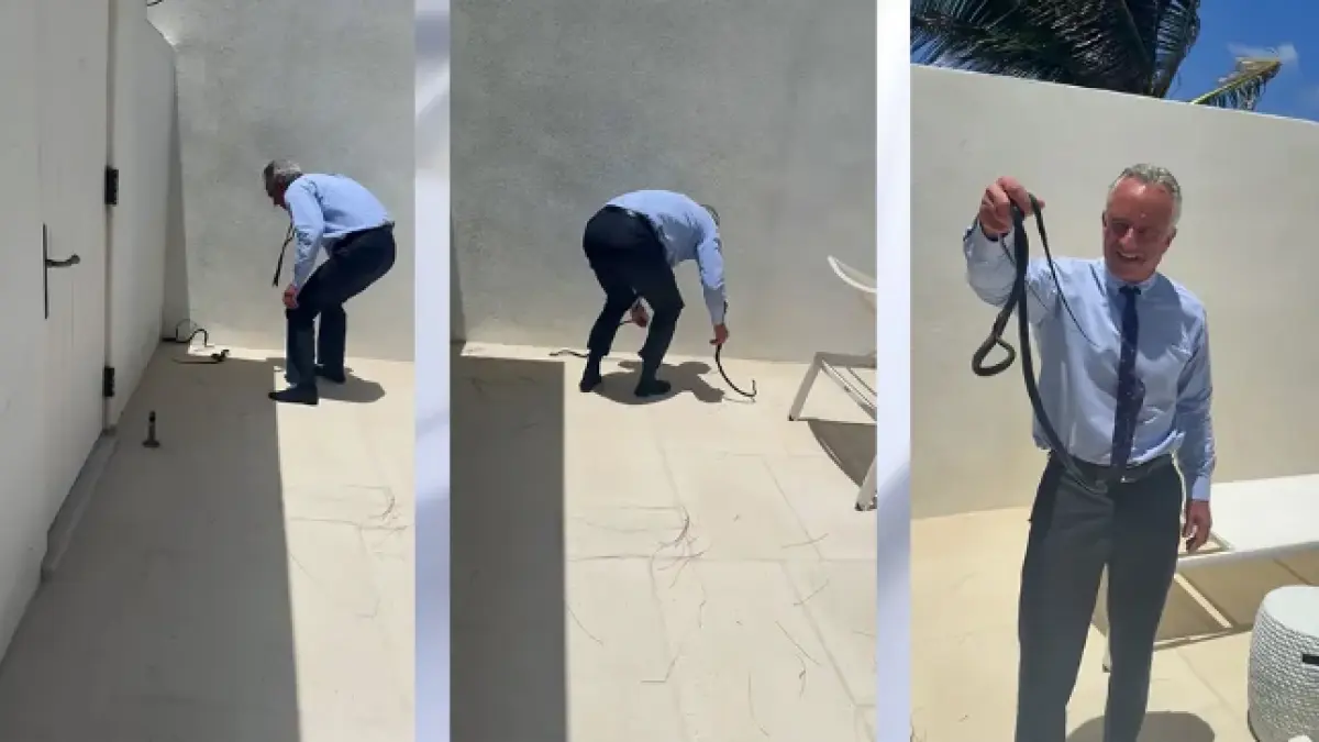 video viral cu robert f kennedy jr a prins cu mainile goale doi serpi care se zvarcoleau pe terasa vilei doctorului oz