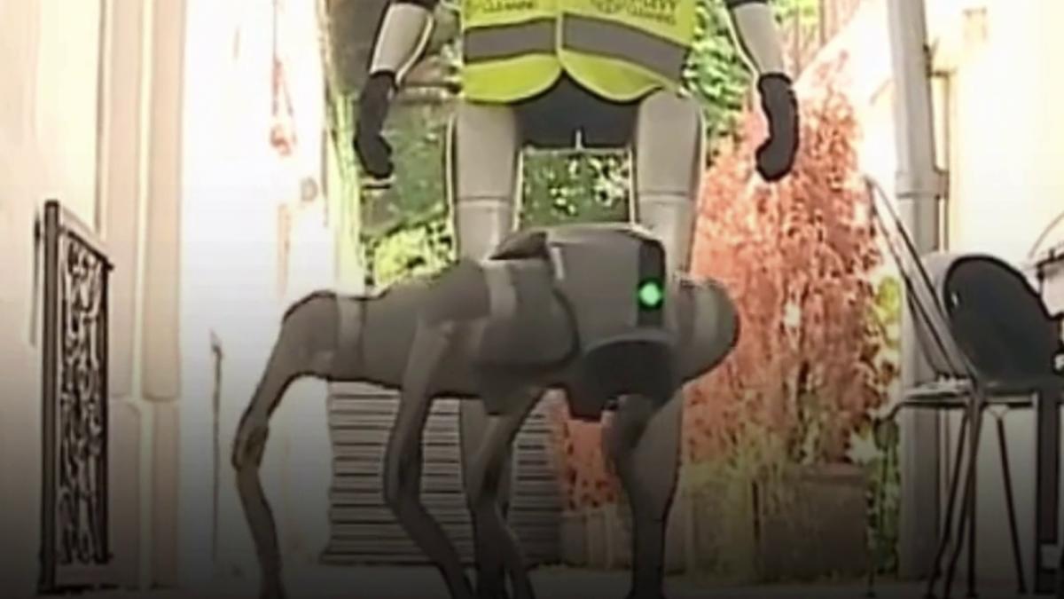 in targu mures patruleaza roboti umanoizi si patrupezi pe strazi agentii cu ai fac curatenie si vorbesc cu locuitorii