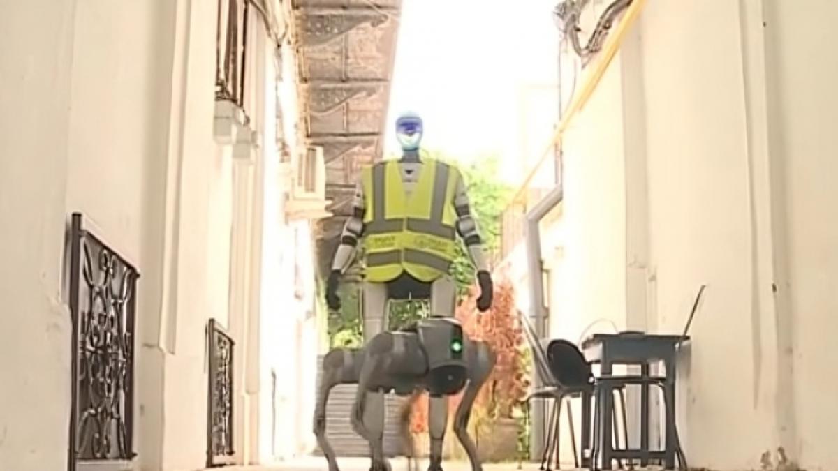 primul oras din romania unde robotii umanoizi si robo cainii patruleaza pe strazi agentul ia face curatenie si vorbeste cu oamenii