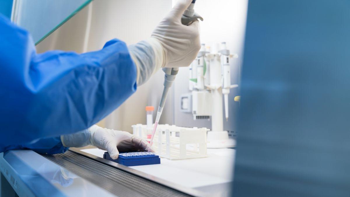 trei tari ue au primit din japonia un tratament experimental pentru hantavirus a fost folosit in pandemia de covid 19