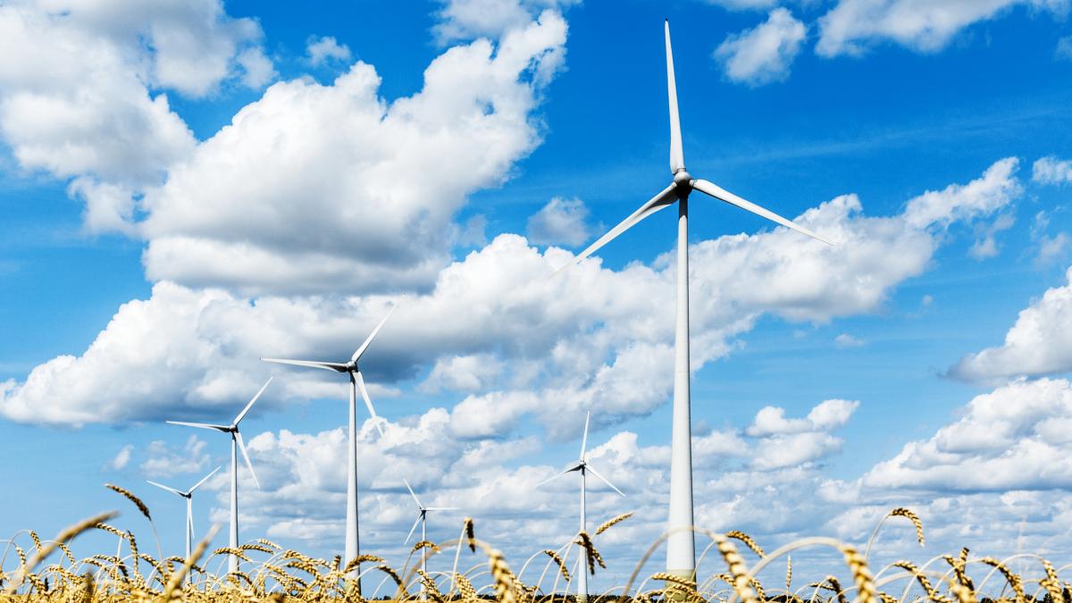 tara care a devenit o forta in domeniul energiei regenerabile in timp ce europa traverseaza o criza energetica majora