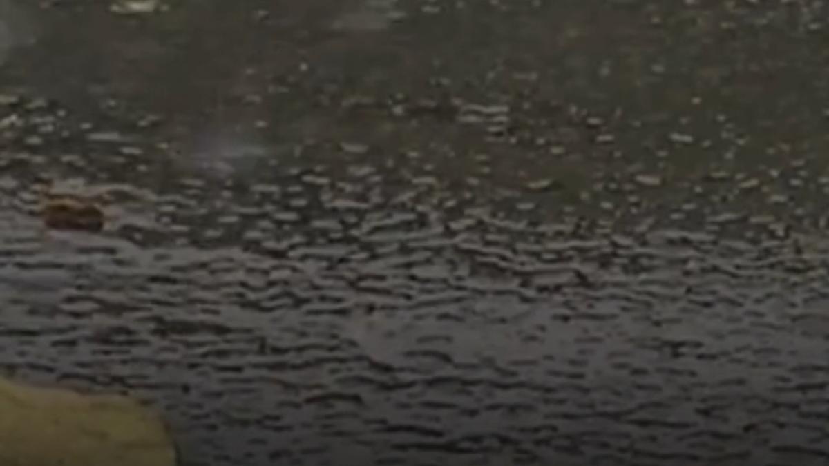 alerta meteo ploi torentiale grindina si vijelii in prima zi de vara