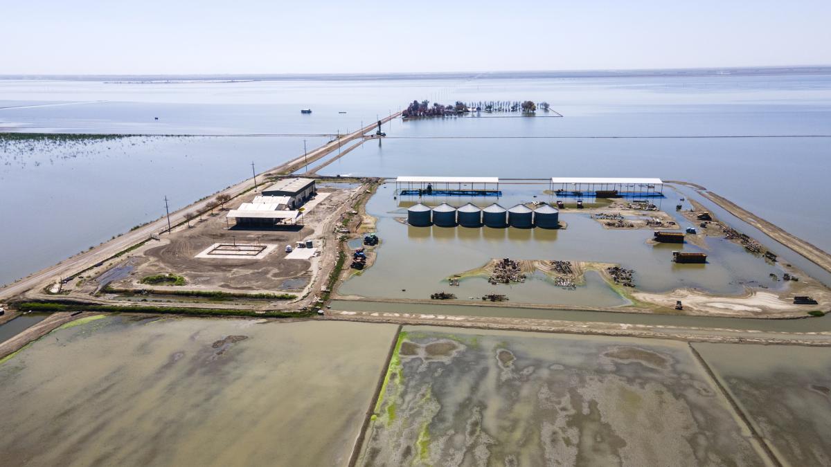 lacul tulare