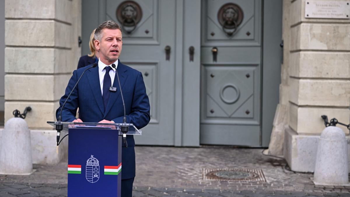 Peter Magyar în fața porții palatului Sandor