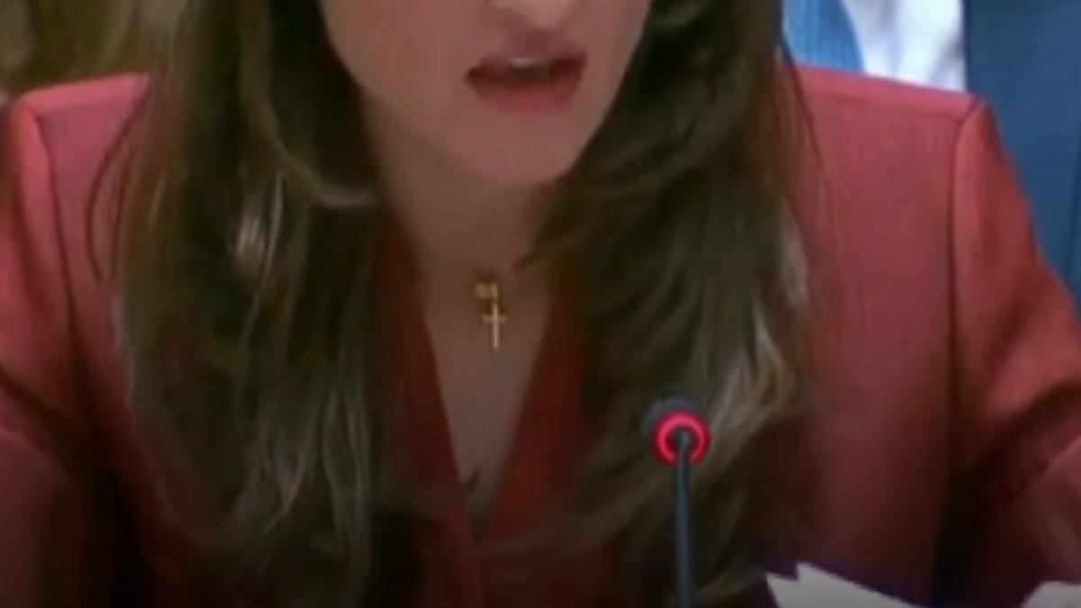 oana toiu il cautam pe agresor si vedem ca stam cu el la masa federatia rusa