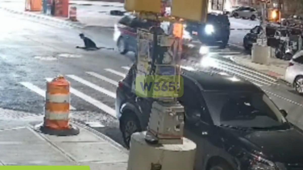 misterul oamenilor care ies din canalizarile new yorkului imaginile care au dus la o ancheta a politiei si au declansat teorii bizare