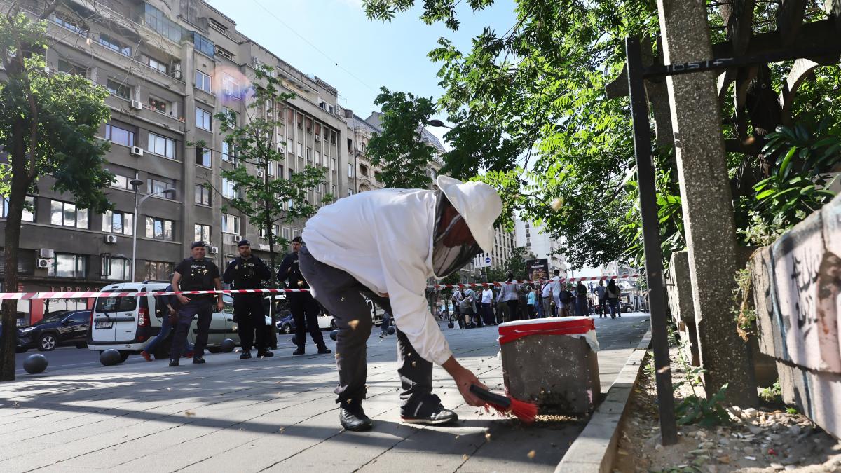 interventie apicultor piata romana bucuresti capturare roi albine trotuar 2 iunie 2026