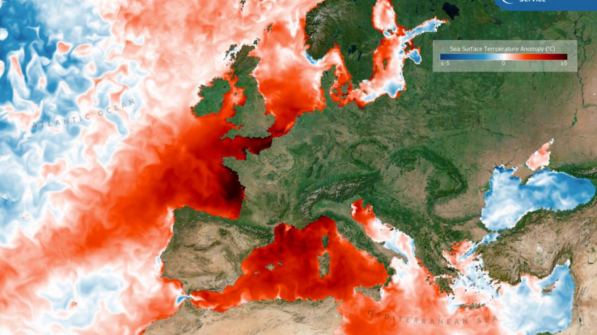 anomalie termica uriasa in ocean un nou el nino se formeaza in pacific efectele se vad deja apa e anormal de calda in europa