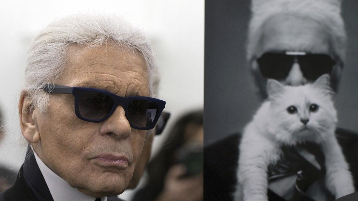 colaj cu karl lagerfeld si pisica alba
