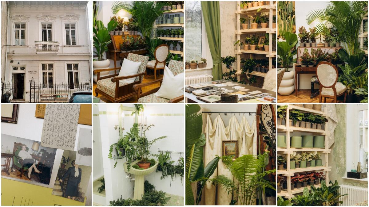 o vila istorica din bucuresti cu o poveste fascinanta e virala dupa ce a fost umpluta cu peste 1 000 de ghivece cum arata casa plant
