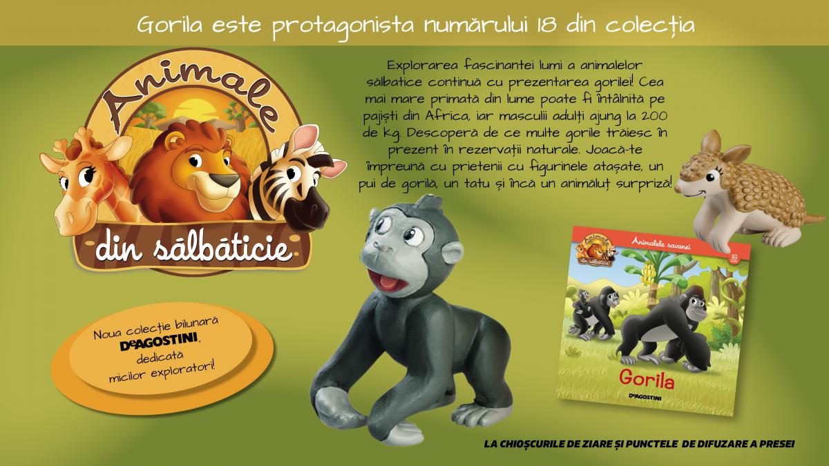 SITE_Jucarii_nr18