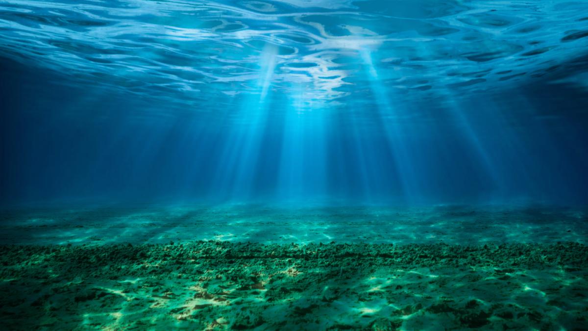 in toate oceanele lumii dar si in marea mediterana au fost descoperite genele rezistente la antibiotice