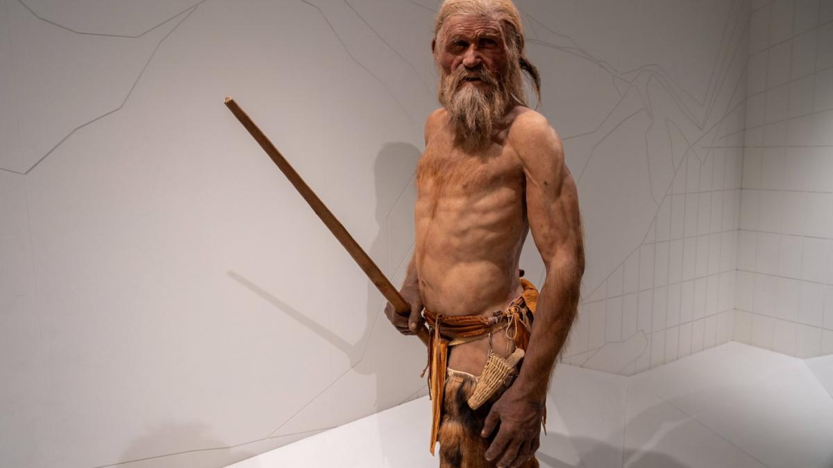ceva a supravietuit in otzi omul gheturilor desi acesta a murit de 5300 de ani cercetatorii sunt uluiti