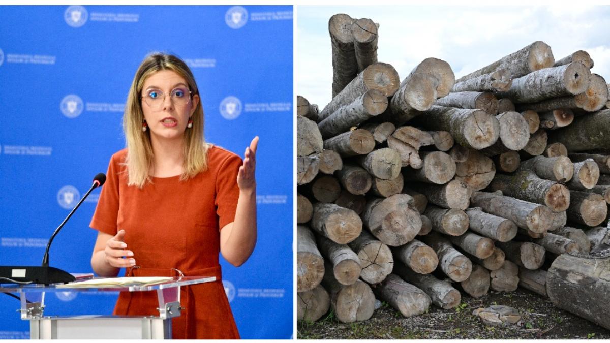 ministerul mediului a depus plangere penala dupa vandalizarea camerelor din sistemul de monitorizare a transporturilor de lemn