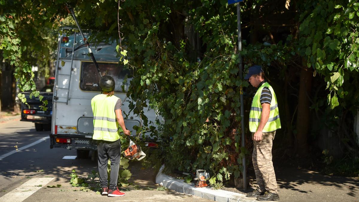 strazile din sectorul 1 vor fi curatate de un nou operator de salubritate primaria incheie definitiv contractul cu romprest