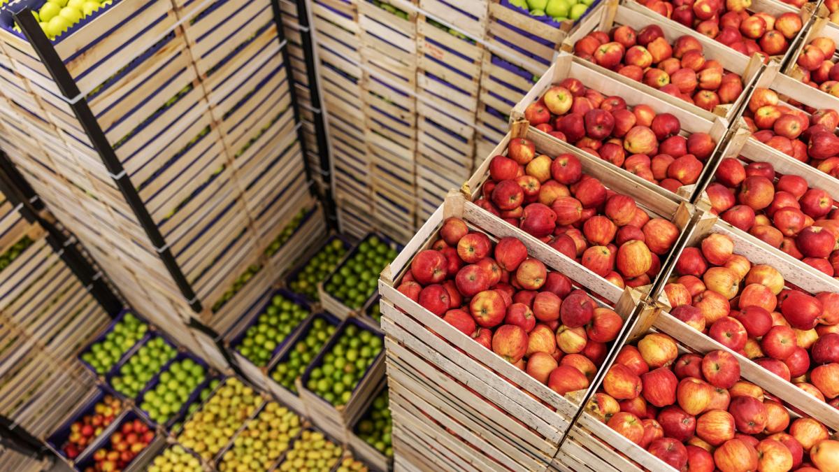 alimente din teritoriile ocupate din cisiordania ajung in europa deghizate ca fiind israeliene