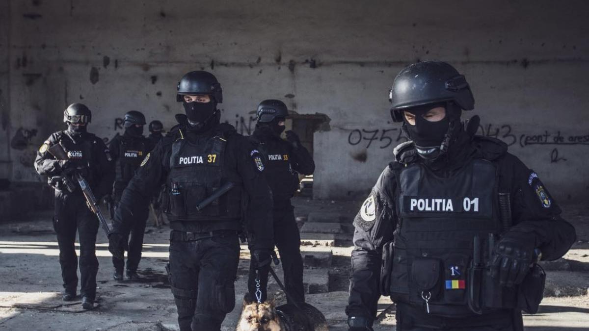 patru tiktok eri care nu si au declarat venituri de peste 3 000 000 de lei au fost ridicati de politie si dusi la audieri