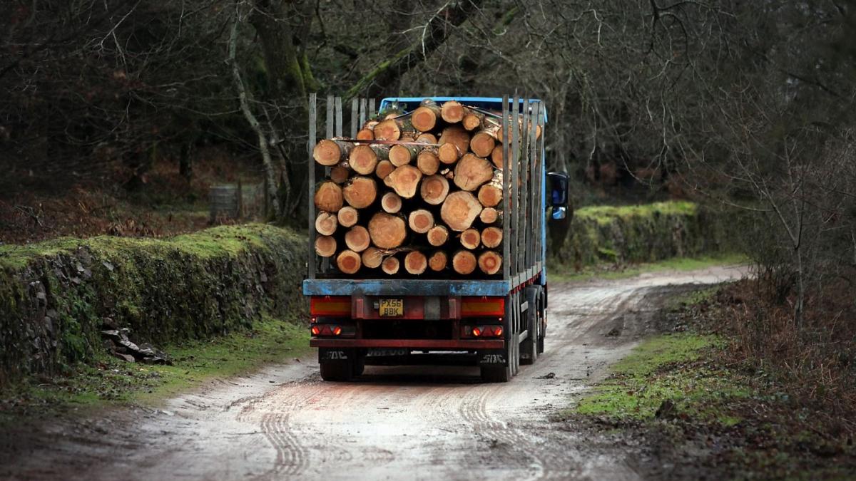 peste 100 de tone de cocaina au fost descoperite intr un transport de lemne marfa valora peste 8 3 miliarde de dolari