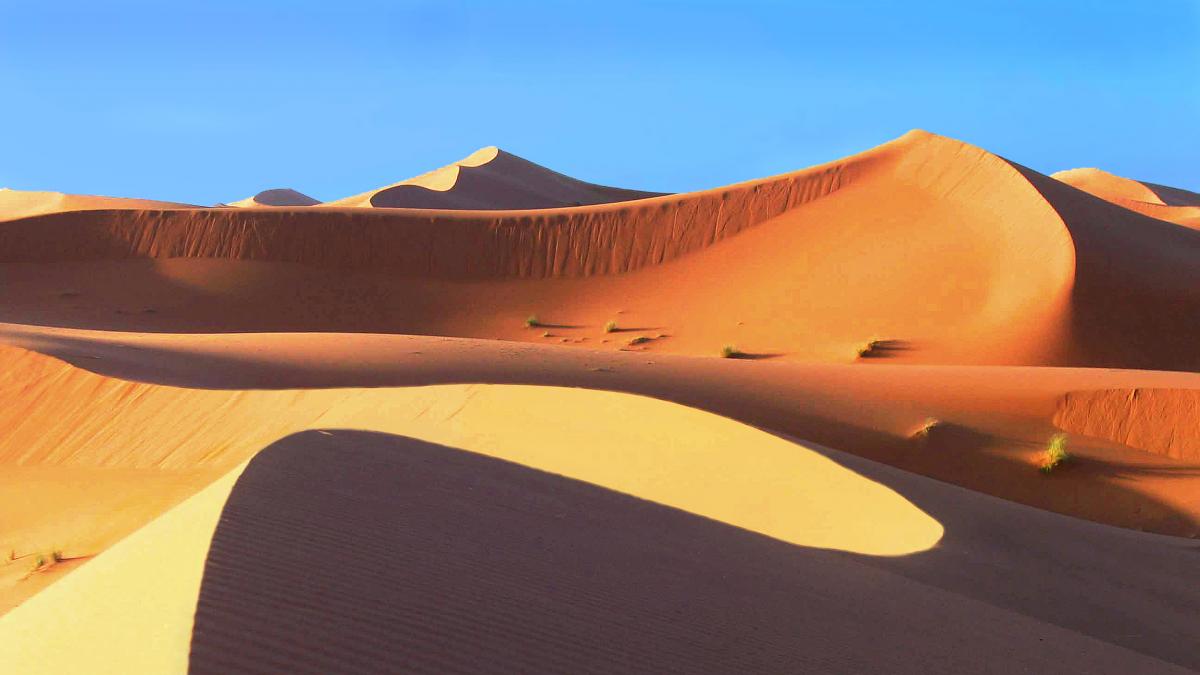 Bruxelles-ul vrea să alimenteze Europa cu energia Soarelui din Africa. Planul care va transforma Sahara într-o „centrală electrică”