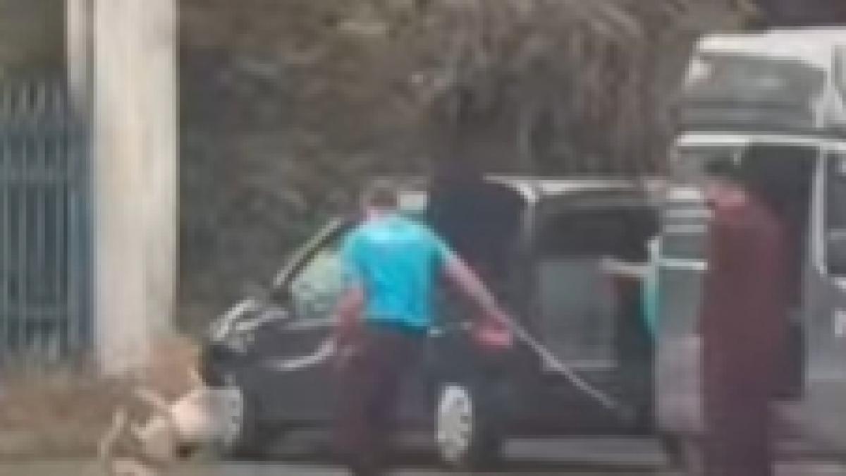 suspiciuni grave dupa ce mai multi caini capturati au fost dusi intr o padure liderul pusl slatina cere verificari urgente