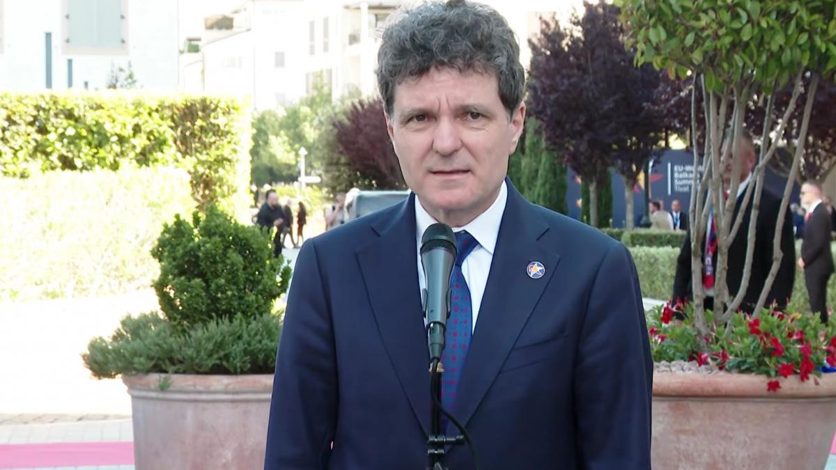 nicusor dan a depus o coroana de flori la monumentul dedicat memoriei victimelor mineriadei din 1990