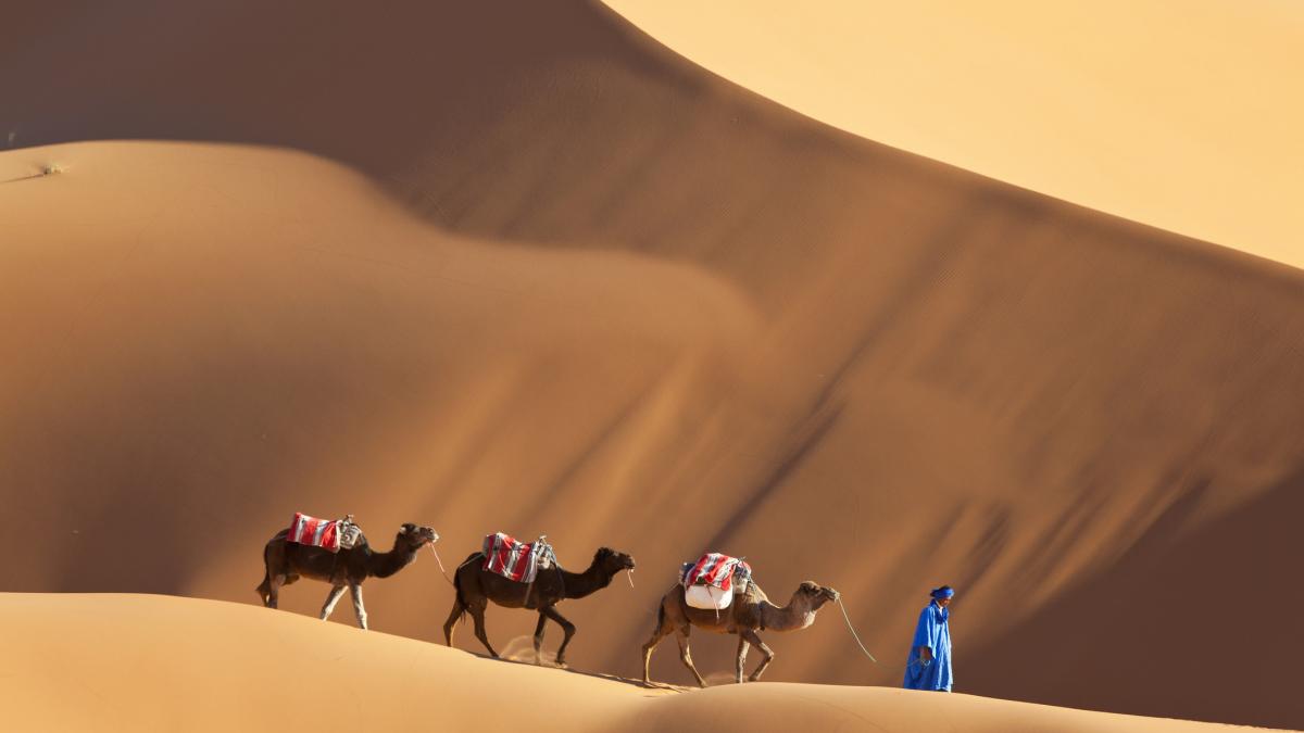 in urma cu 6 000 de ani sahara era o savana verde cu rauri hipopotami si girafe intr un secol totul s a transformat in desert